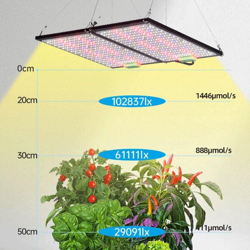 LED Quantum‑Board Grow Light F - огляд і ціна Plant Grow Light Full Spectrum