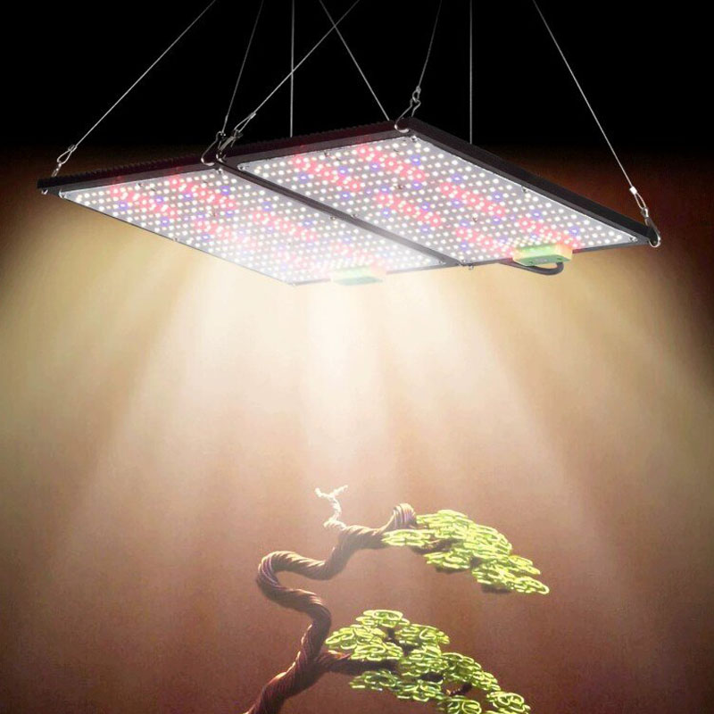 LED Quantum‑Board Grow Light F - огляд і ціна Plant Grow Light Full Spectrum