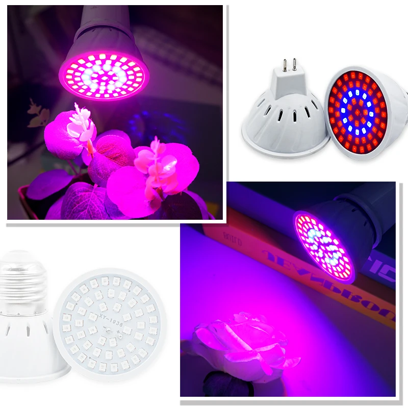 Phyto Lamp Full Spectrum LED G - огляд і ціна Plant Grow Light Full Spectrum