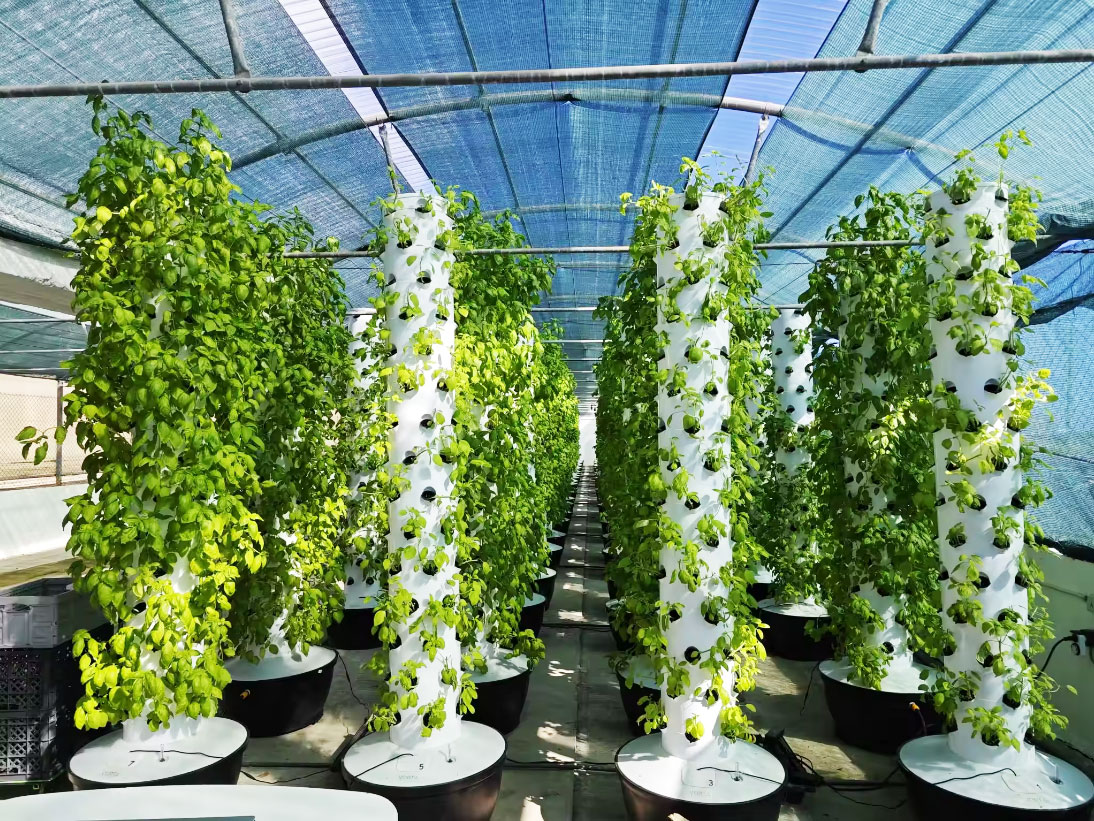 High Quality Easy Install Smal - огляд і ціна Hydroponic Tower