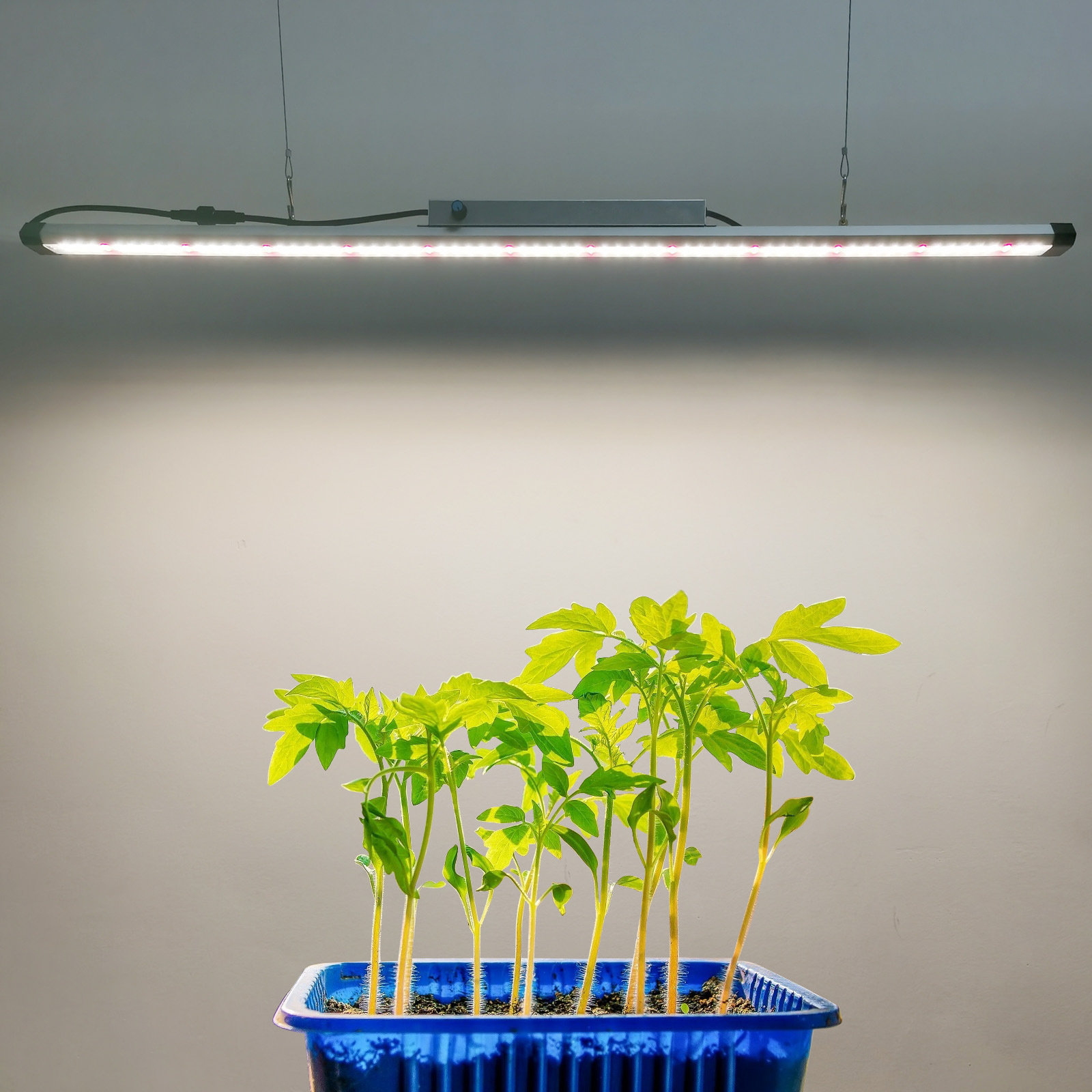 100W Full Spectrum LED Grow Li - огляд і ціна Plant Grow Light Full Spectrum