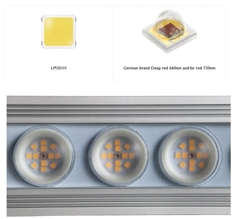 Koray 900W Indoor full spectru - огляд і ціна Plant Grow Light Full Spectrum